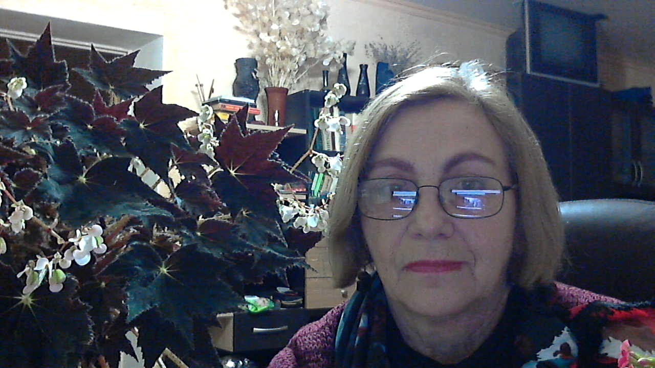 ЛЮБИТЕЛИ КОМНАТНЫХ РАСТЕНИЙ, ЖДУ ВАС В ПРЯМОМ ЭФИРЕ.