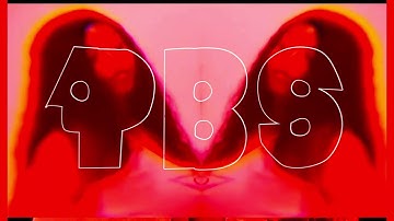 Skip Gocar - pbs [CDQ snippet]