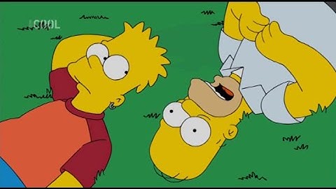 Simpsonovi - Proč?
