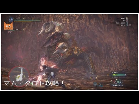 Mhw 爛輝龍マム タロトの弓でのソロ攻略法２ おすすめ装備 立ち回り等 モンハンワールド Youtube