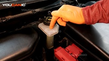 2017+ Nissan Rogue Sport Check / Add Brake Fluid
