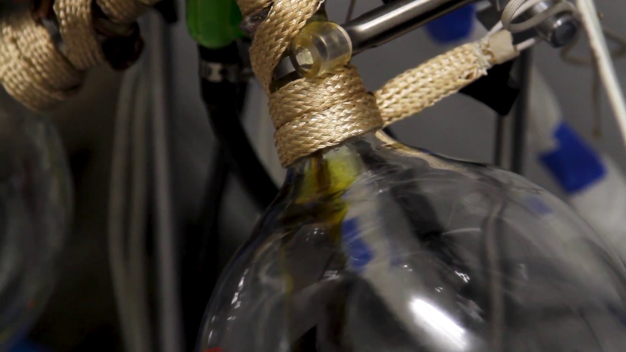 Purplebee's: Pure CO2.