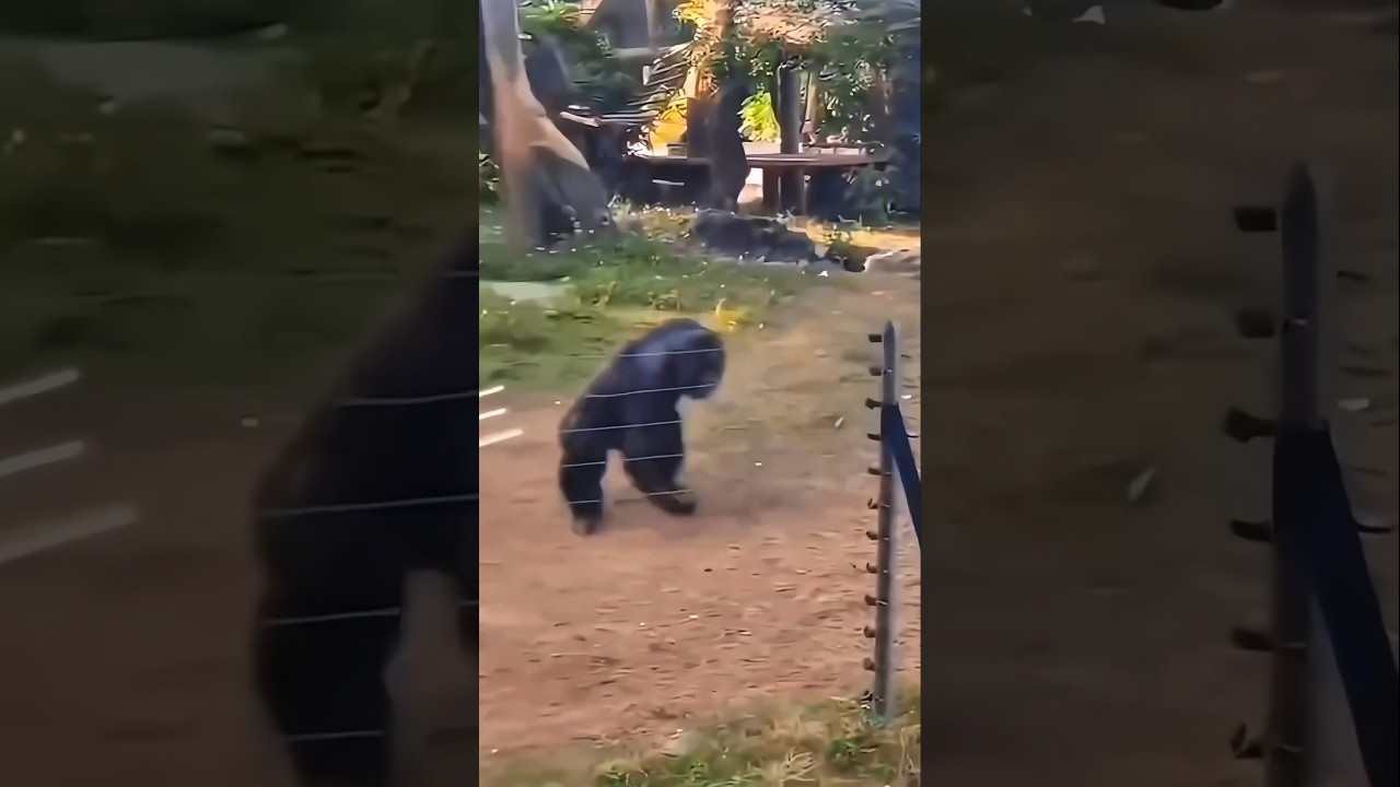 Coming Soon: Stunning Riverview Home | Open House Feb 8