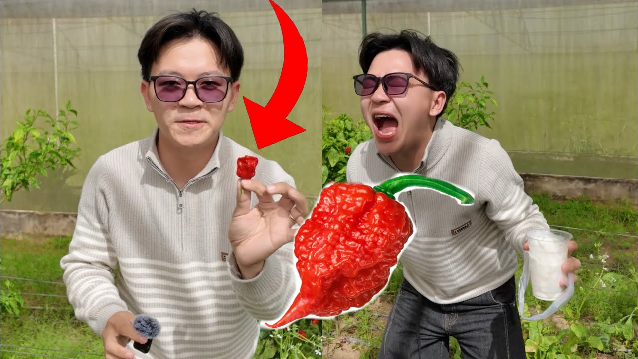 ខ្ញុំស្វែងរក ម្ទេស ហឹរជាងគេលើពិភពលោក 🤣