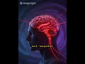 Stress tumhari body ko kaise destroy karta hai #facts #follow #subscribe