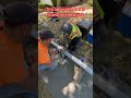 Enseñemos sin ninguna envidia que así creásemos más #youtube #construction #plomero #humor #latestn