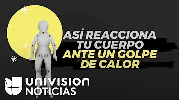 ¿Cómo se llama cuando el calor te mata?