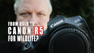 Canon EOS R5 Wildlife Photography  Perfect in Real life?