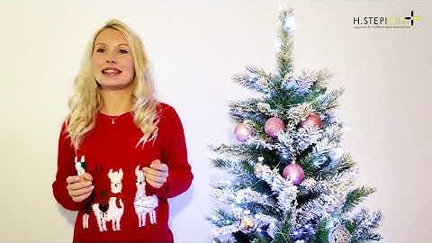 Stepic CEE Charity is on Amazon Smile!