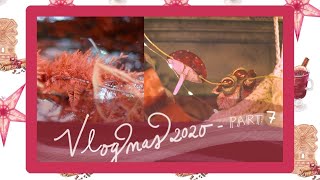 VLOGMAS 2020 DAY 7: Christmas paper bunting ideas & Winter walk by Lake Lucerne