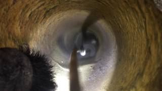 Air Duct Cleaning, Cable Brush Cleaning Out Air Duct