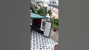 Bàng hoàng cầu phong châu, Phú thọ sập ngay trước mặt người đi đường