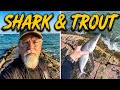 Sharks and trout at Isla Blanca  jetties.