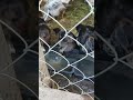 Открою секрет! В жизни гораздо больше радости,чем люди ищут в собственных ошибках.