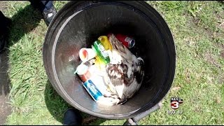 Several arrested for cockfighting in Abbeville