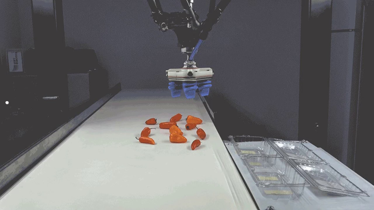 Soft robotics. Soft robots. мягкая робототехника. robot inc.
