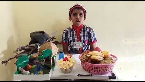 Class V   EVS  Chapter - 20 Whose Forest Topic- Things we get from forest