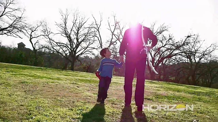 Firebird Stratos (HBZ7700) - Dream of Flight