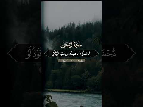 الشيخ حمد الدغريري  يوم تجد كل نفس ما عملت  ستوري قرآن