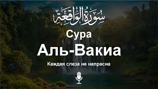 Сура аль-Вакиа سورة الواقعه | Духовное спокойствие через редкое и красивое чтение утешение