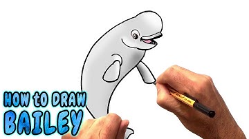 How to Draw Bailey from Finding Dory (NARRATED)