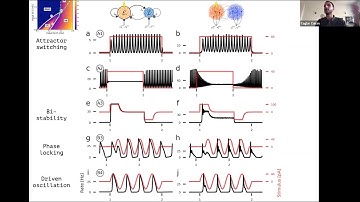 Talk: Biophysically grounded mean-field models of neural populations under electrical stimulation