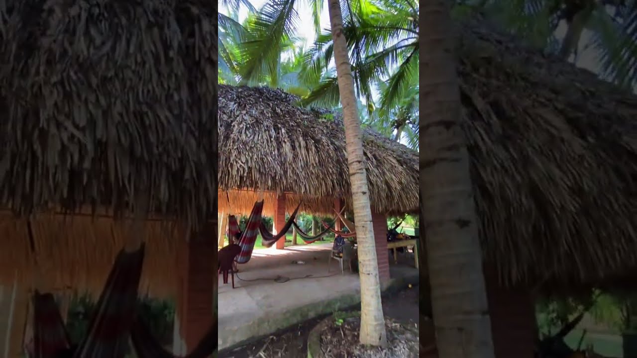 Como construir un rancho rústico de palma real