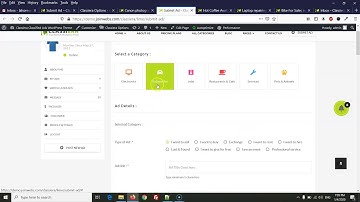 Bidding Messages in Classiera Classified Ads WordPress Theme