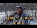 A cold  tough rabbitcrow hunt