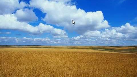 Installing Windows Longhorn Build 4053 in VMWare!