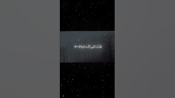 سورة الحاقة|25_26|القارئ:#محمد_اللحيدان #قران #quran #راحة_نفسية #قران_كريم#تلاوة_هادئة #تلاوة_خاشعة