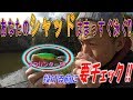 えっ⁉スプリンターがまっすぐ泳がない??【問題解決】