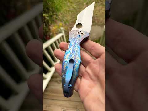 Spyderco YoJimbo2