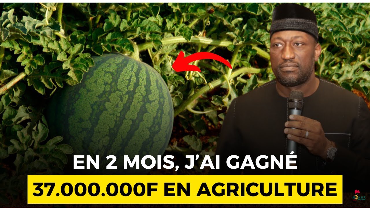 INCROYABLE: Il Gagne UN Milliard de Fcfa en UN an avec l'AGRICULTURE après avoir perdu 30 ans de vie