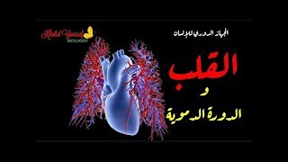 تركيب القلب - الدورة الدموية -  الجهاز الدوري ١