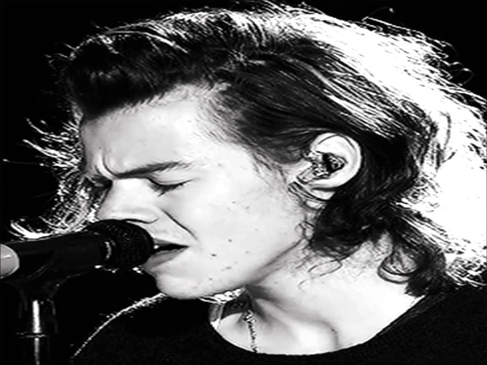 Harry Styles || Flashlight
