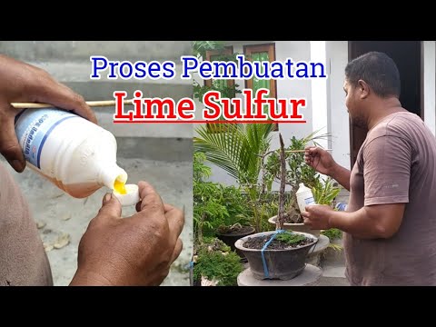 Proses Pembuatan Lime Sulfur