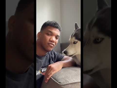 i found my dogs TICKLE SPOT!