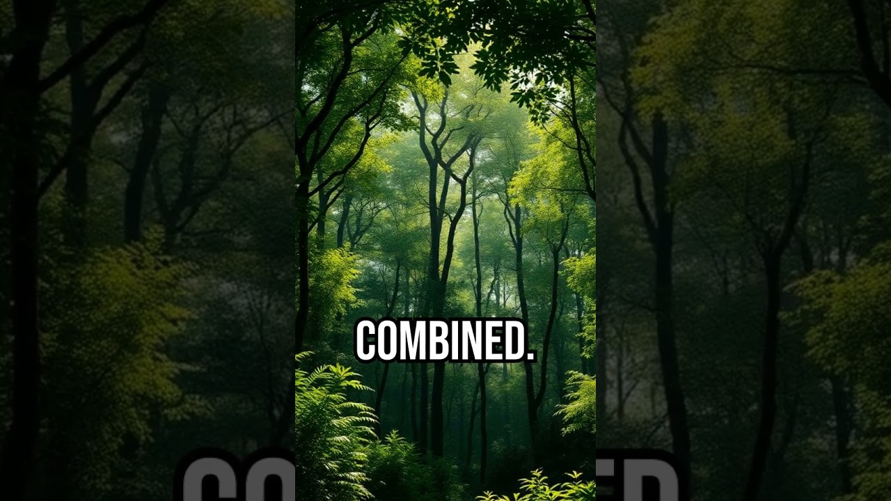 Peatland's Carbon Secret 