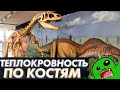 Как обнаружить ТЕПЛОКРОВНОСТЬ по костям? Теплокровность и динозавры [ФИЗИОЛОГИЯ ДИНОЗАВРОВ]