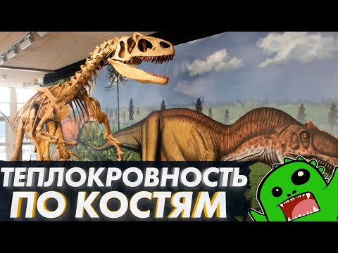 Video: Paleontologi So Ugotovili, Kako Hitro So Se Dinozavri Izvalili Iz Jajčeca - Alternativni Pogled