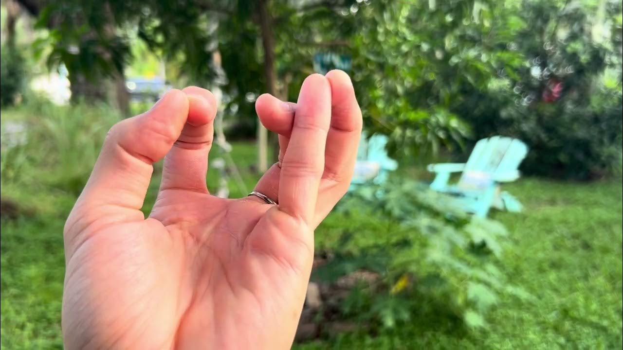 How does a Mercury Thermometer work? YouTube