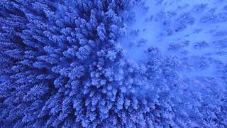 [3.1] Why is it A MUST for Every Human to know Allah?  - Shi'i Doctrine