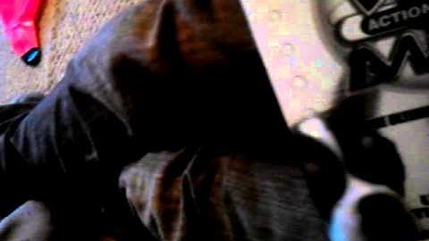 action replay max for ps2 unboxing