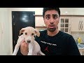 WE GOT A PUPPY !!! *NOT CLICKBAIT*