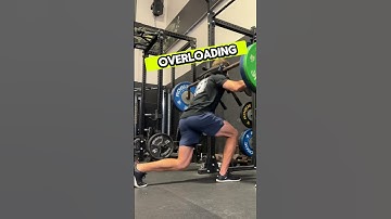 Hatfield Split Squats are a god send for leg growth #workouttips