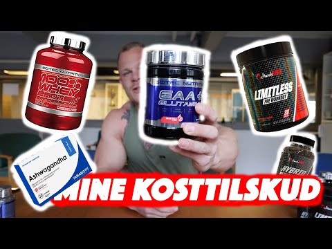 Video: Skal Jeg Give Mine Kattetilskud?