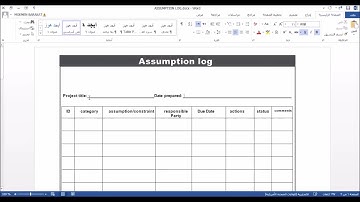 Assumption log