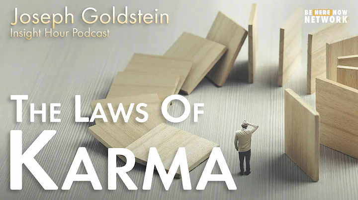 Joseph Goldstein on the Law of Karma  Insight Hour...