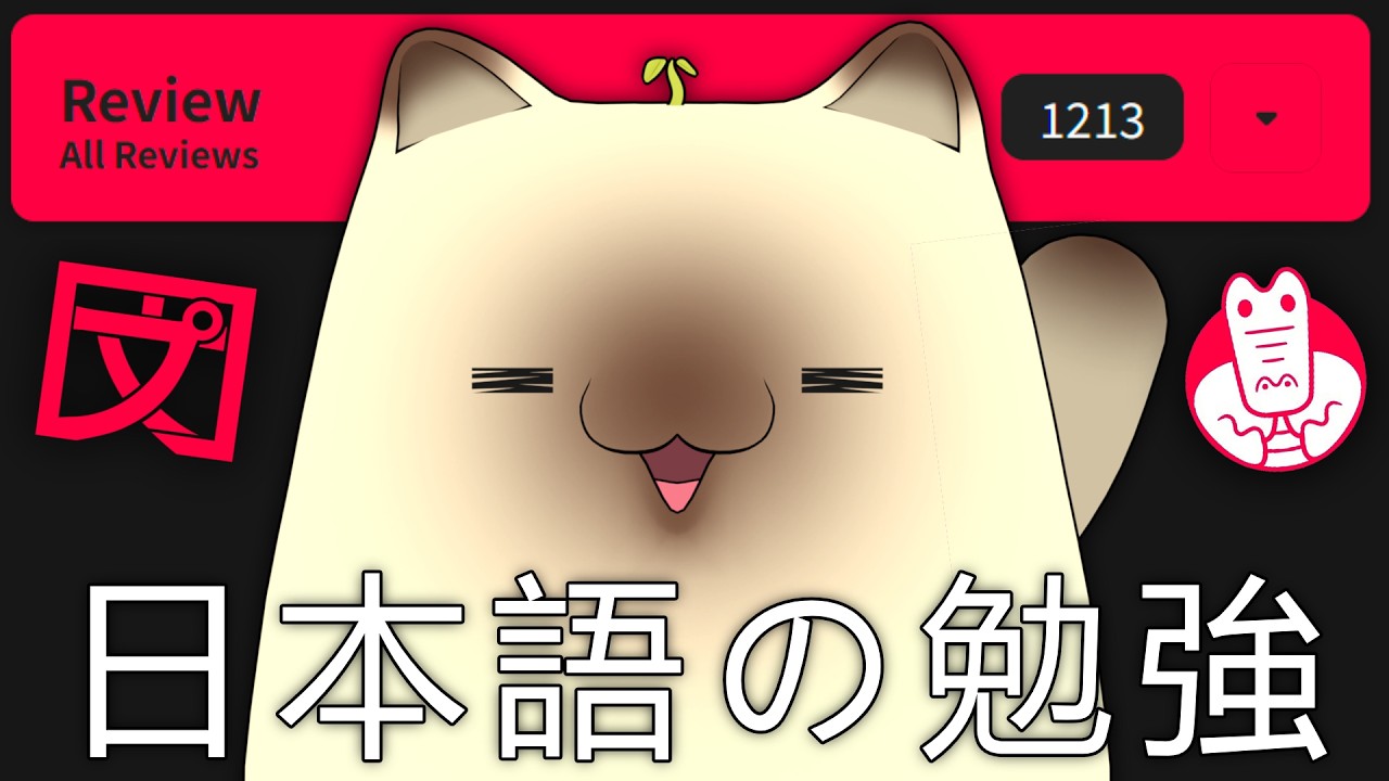 The Cat LOCKS IN And Learns Japanese（日本穂を勉強してるよ） - YouTube